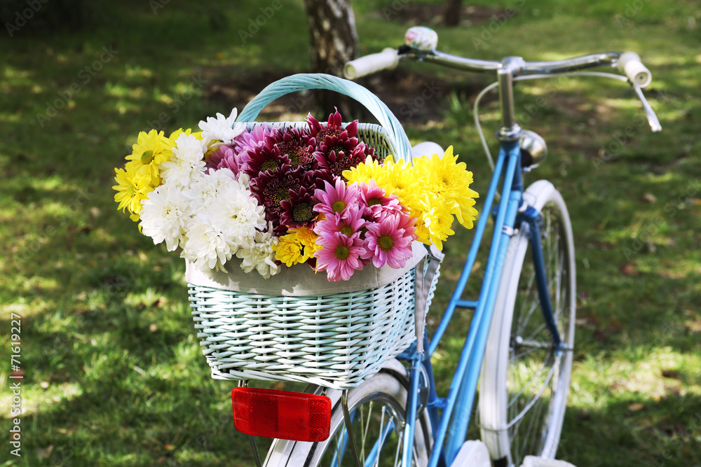 Bicycle with flowers in metal basket closeup - obrazy, fototapety, plakaty 