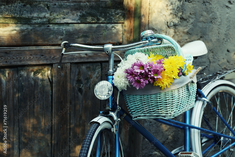 Old bicycle with flowers in metal basket - obrazy, fototapety, plakaty 