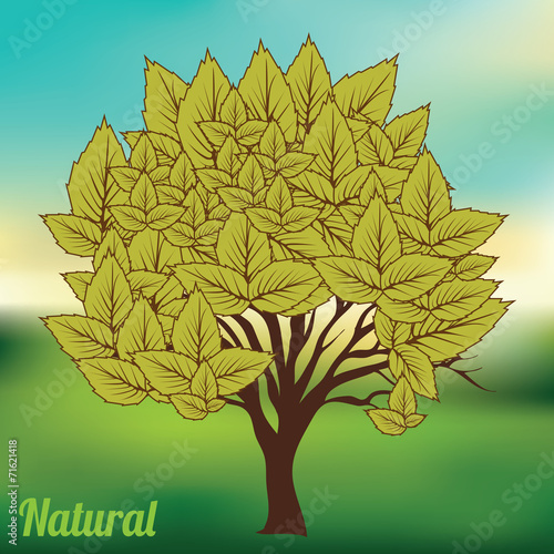 Ecology design