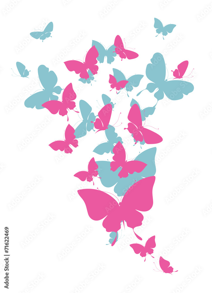 Fototapeta premium butterflies design