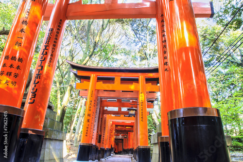 Fushimi Inari Taisha photo