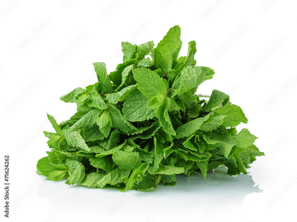 bunch of fresh mint bunch of fresh mint