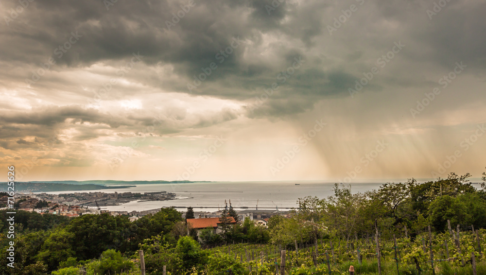 Fototapeta premium rain is coming