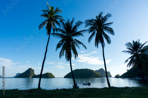 silhouette of  coconut at Ao Prachuap  Prachuap Khiri Khan Provi