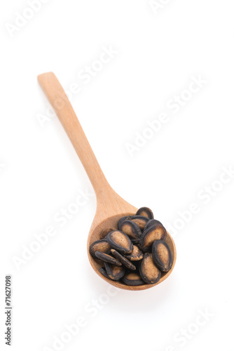 watermelon seed isolated on white background