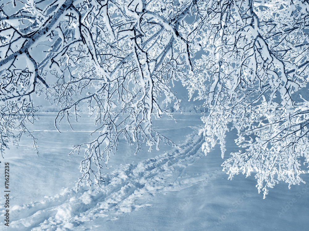 Winter nature Winter nature