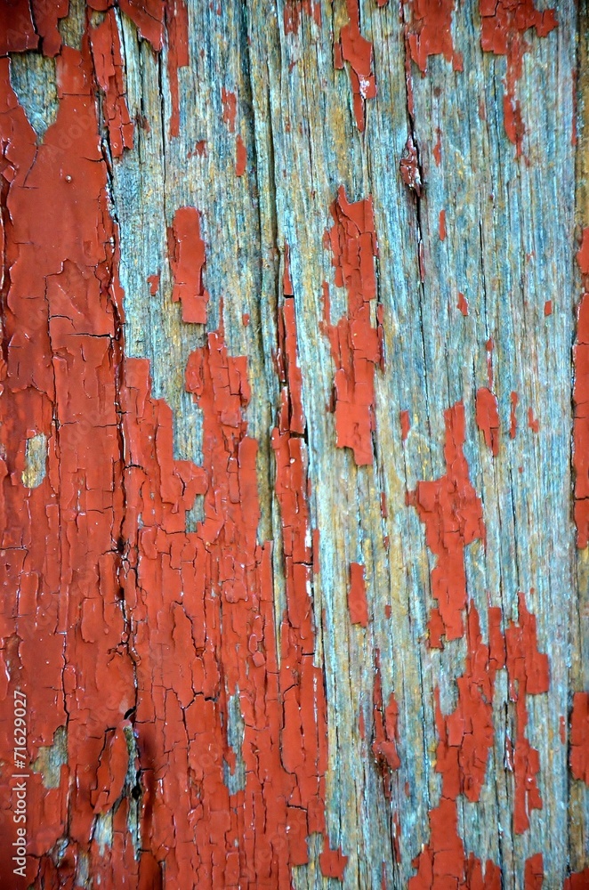 Obraz premium PEINTURE ECAILLEE