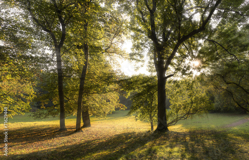 Fototapeta Naklejka Na Ścianę i Meble -  Herbst 08336