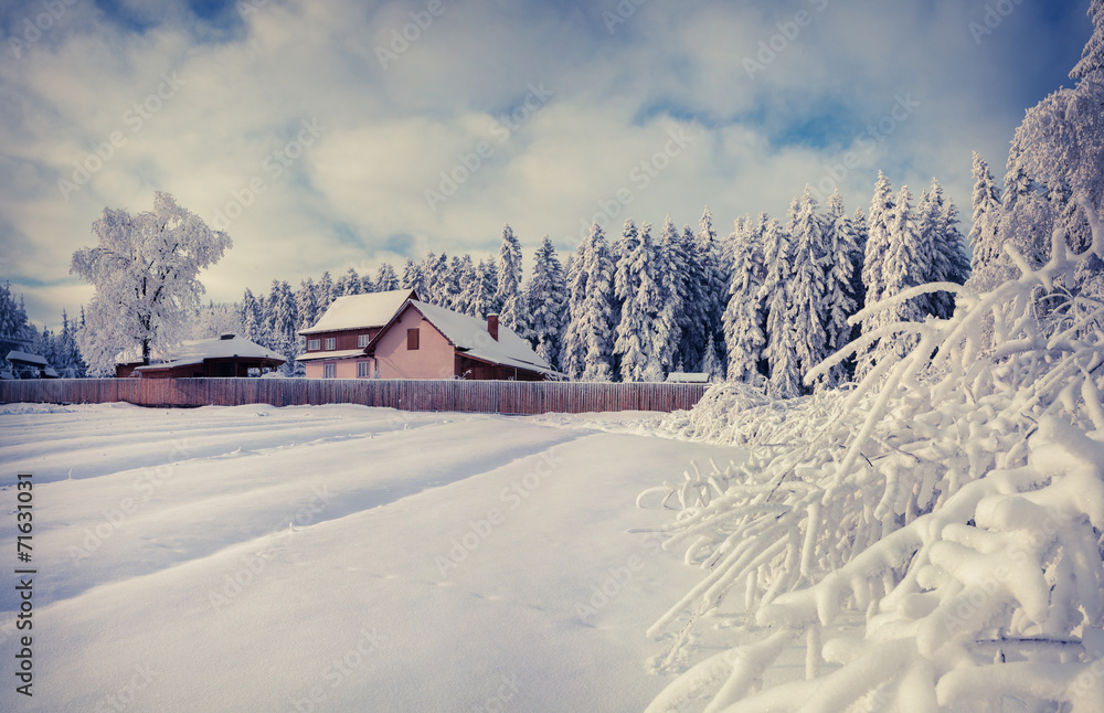 Winter morning in the Carpathian village. Sunny winter morning.