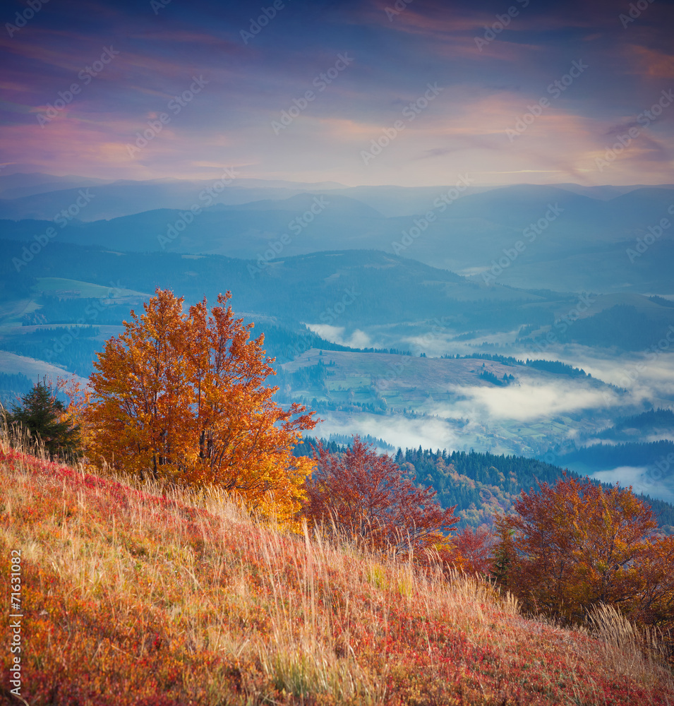Fototapeta premium Colorful autumn sunrise in the mountains.