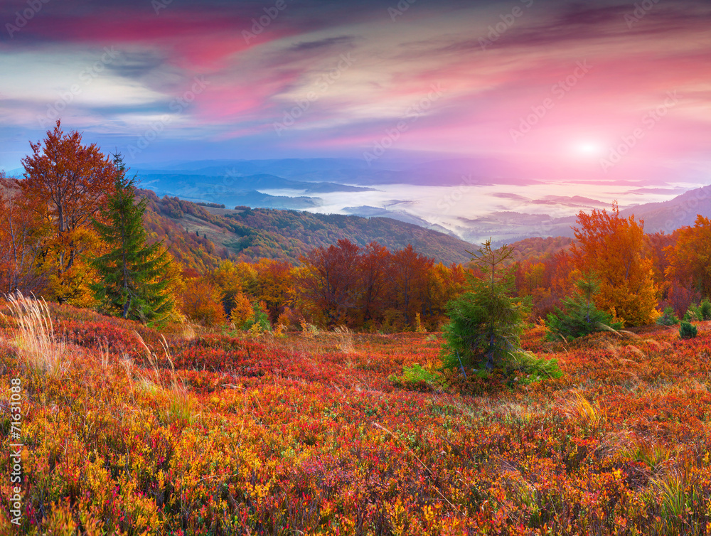 Fototapeta premium Colorful autumn sunrise in the mountains