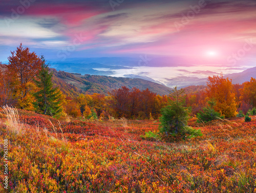 Colorful autumn sunrise in the mountains