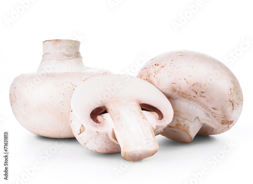 Fresh champignon isolated on white background