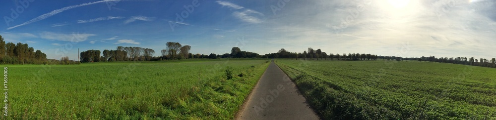 Panorama einer Straße durch Feld
