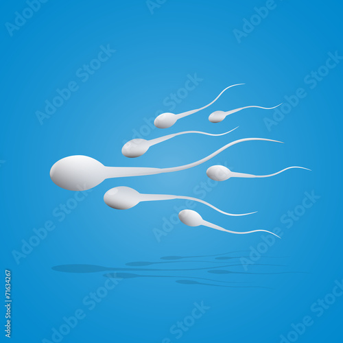 Vector illustration sperm movement