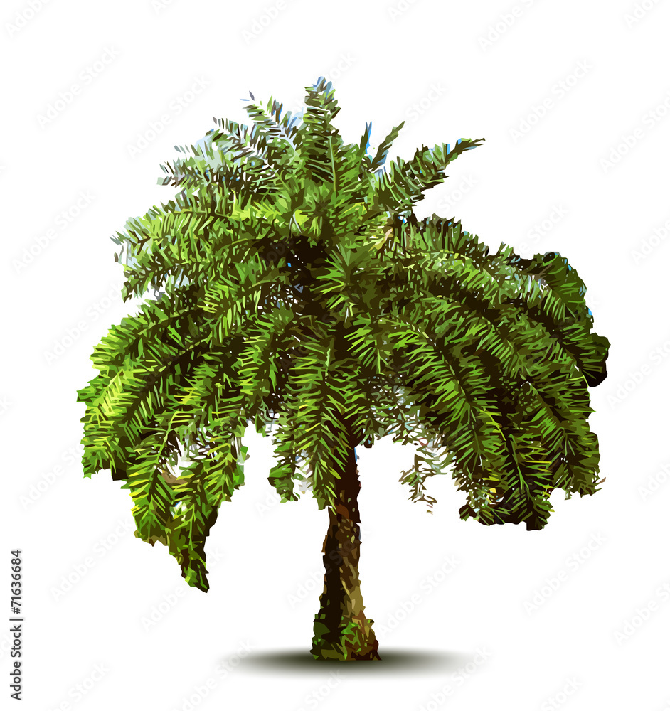 Fototapeta premium Palm tree. Vector illustration