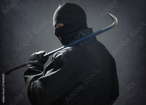 Принти на полотні Burglar