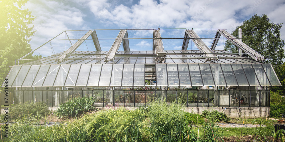 Fototapeta premium greenhouse in a sunny day