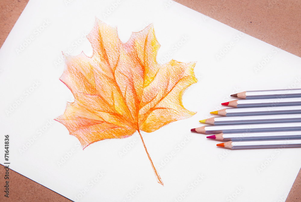 Fototapeta premium Red detailed maple tree leaf