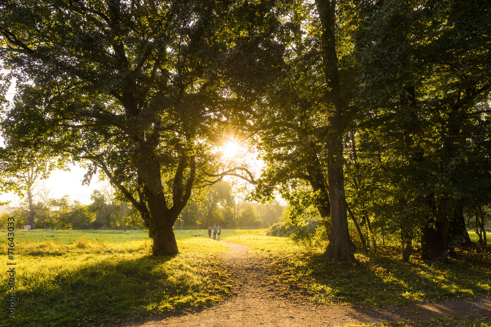 Fototapeta premium Herbst 08385