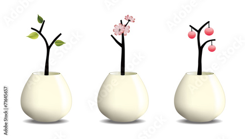 plant in pot