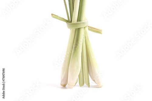lemon grass isolated on white