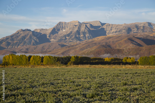 Autumn morning frosted field with poplars and mountains