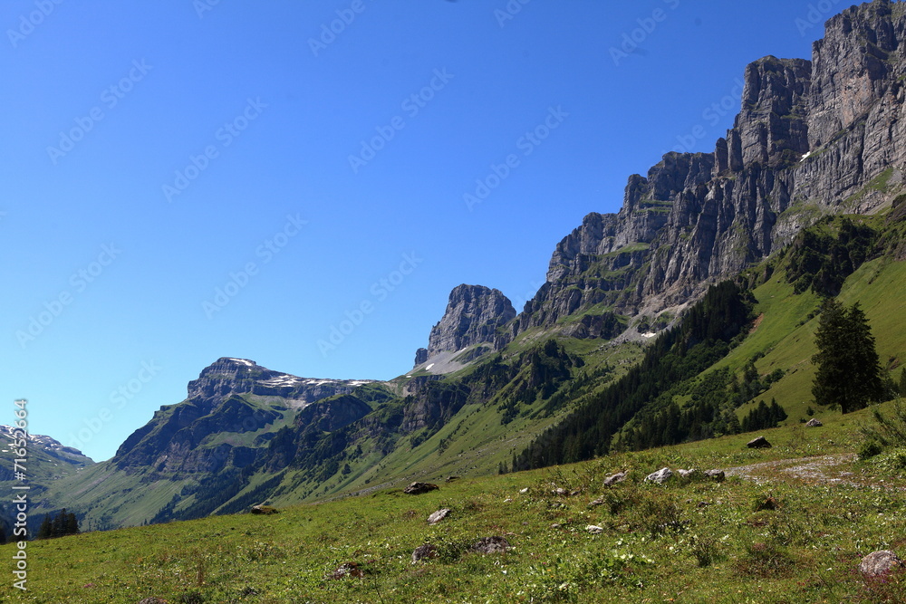 Obraz premium Natur am Klausenpass