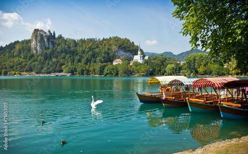 boats on Lake Bled horizontal with swan photo