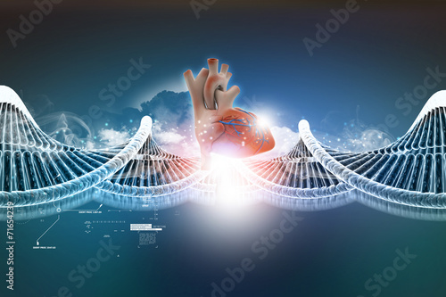 Dna model with human heart