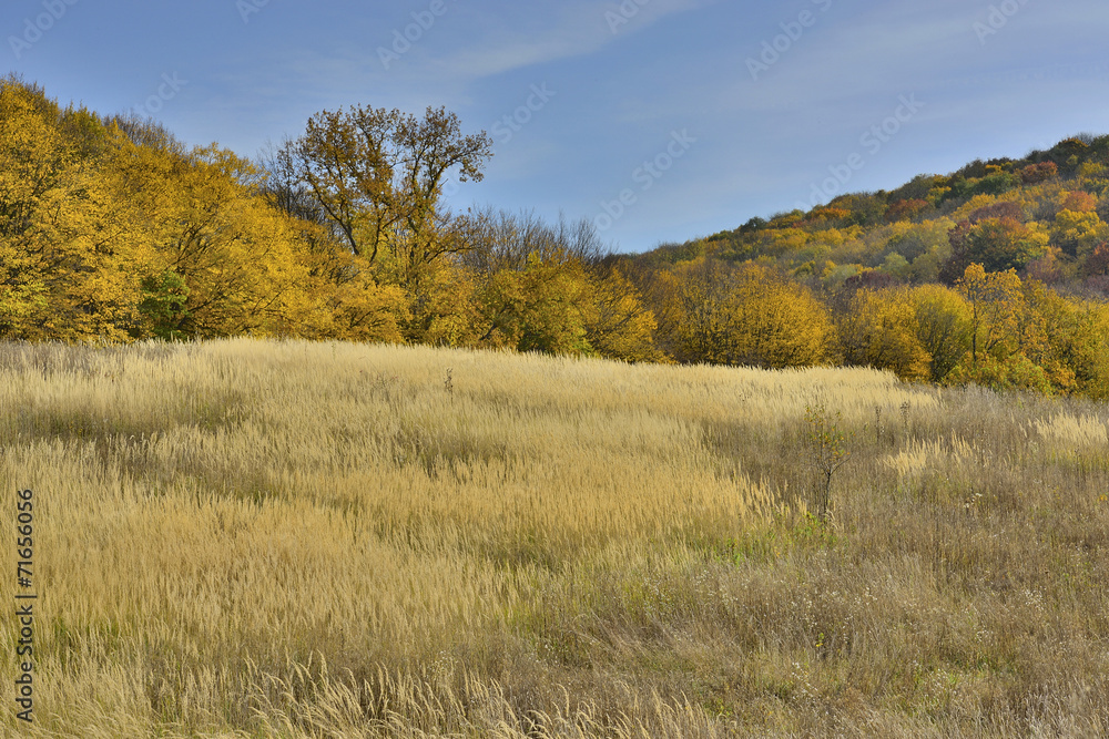 Fototapeta premium Поляна в горах