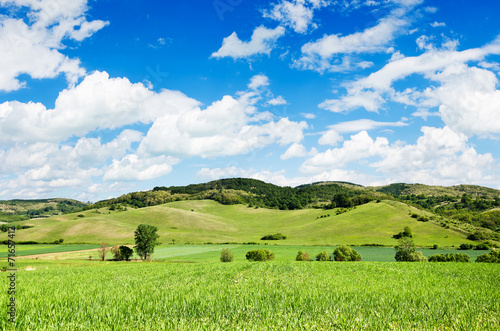 Green field and blue sky.