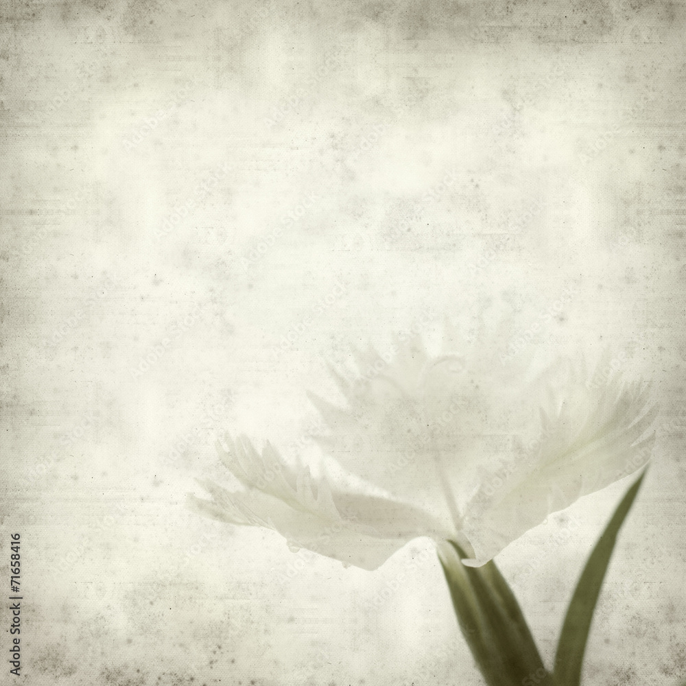 textured old paper background textured old paper background