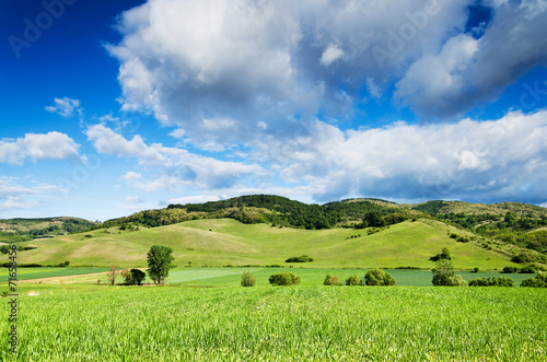 Green field and blue sky. © klagyivik