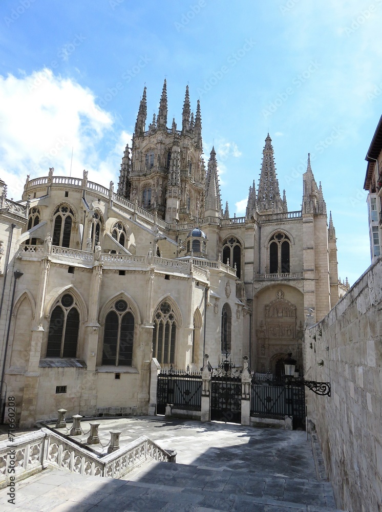 Fototapeta premium burgos