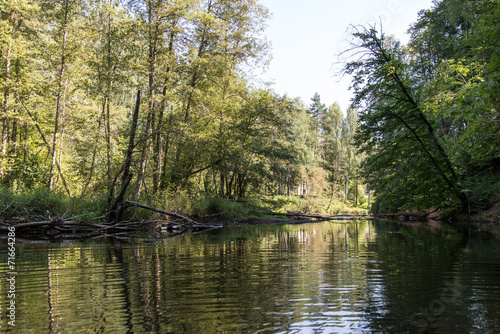 Picturesque river view
