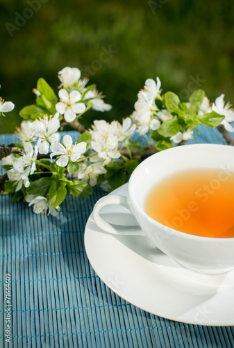 Tea of healthy herb. Cup of warmly drink
