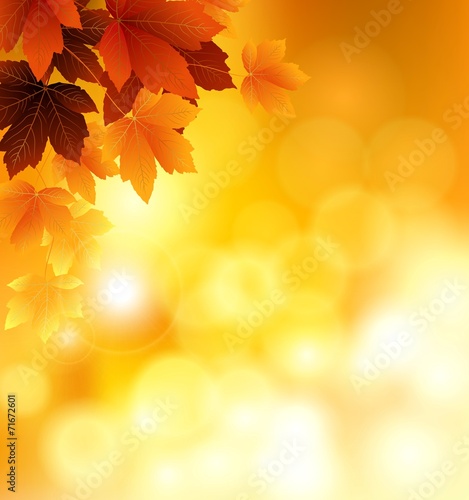 Autumn background with leaves for you design
