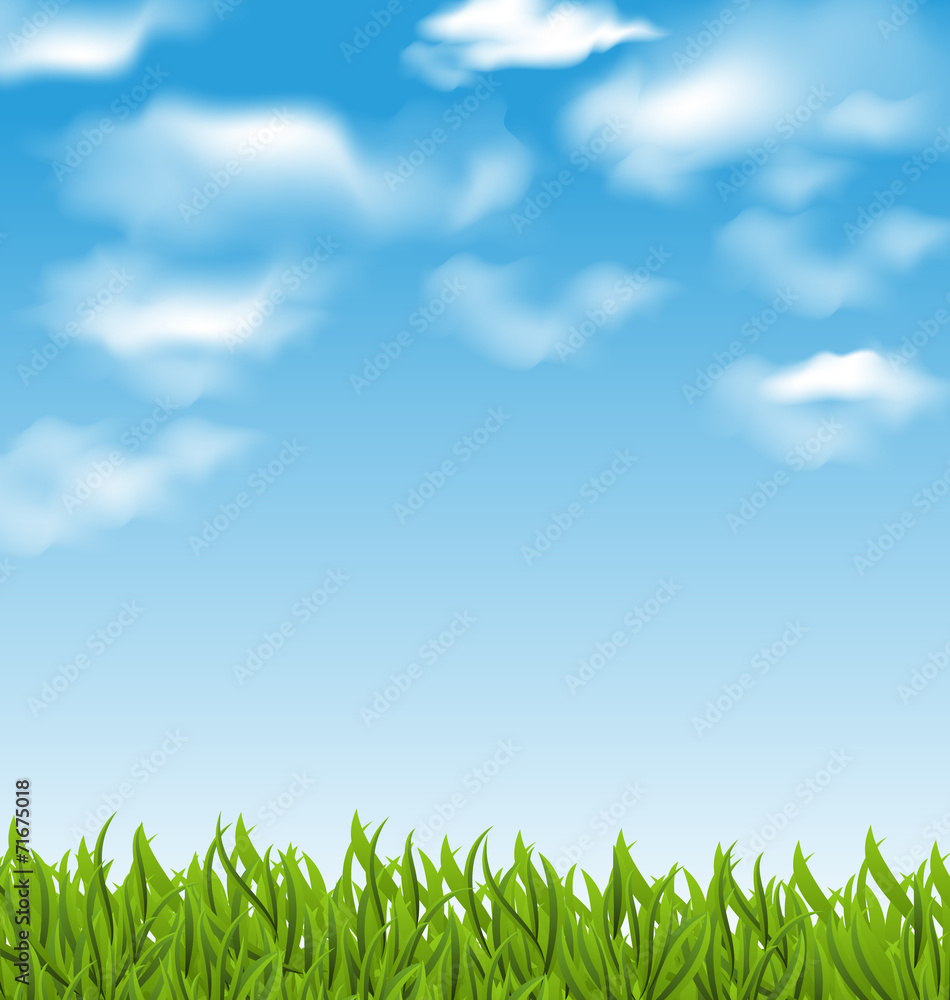 Fototapeta premium Summer background with green grass and sky