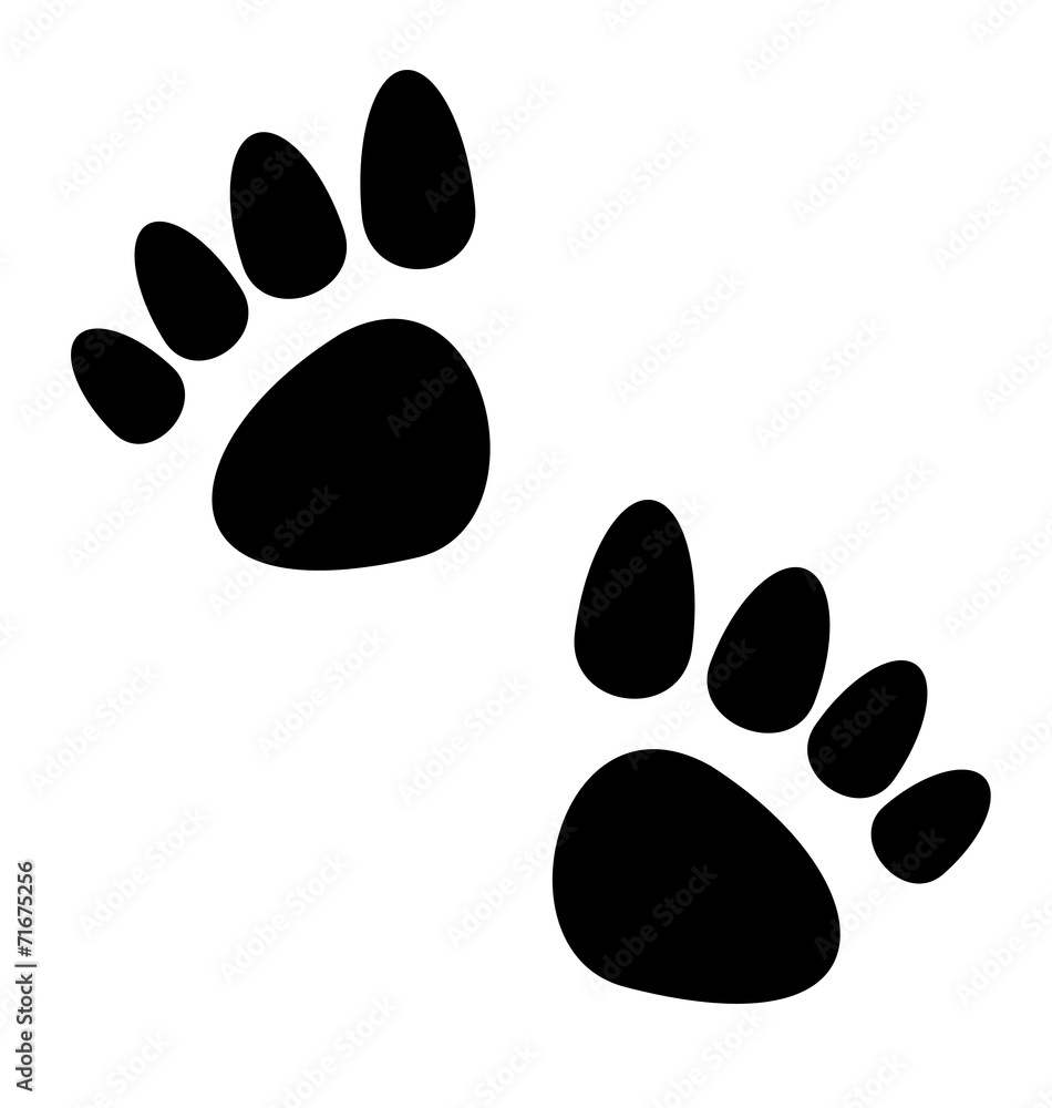 Black animal paws print isolated on white background Black animal paws print isolated on white background