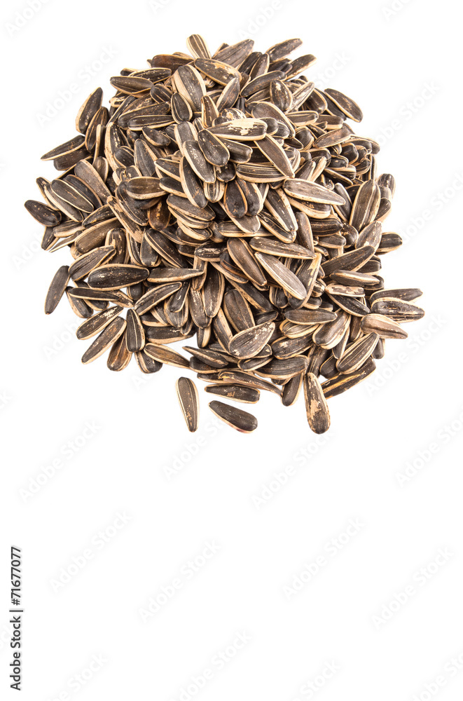 Sunflower seeds over white background Sunflower seeds over white background
