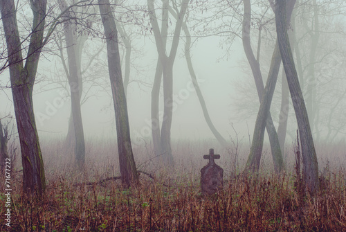 Spooky cemetery in the forest
