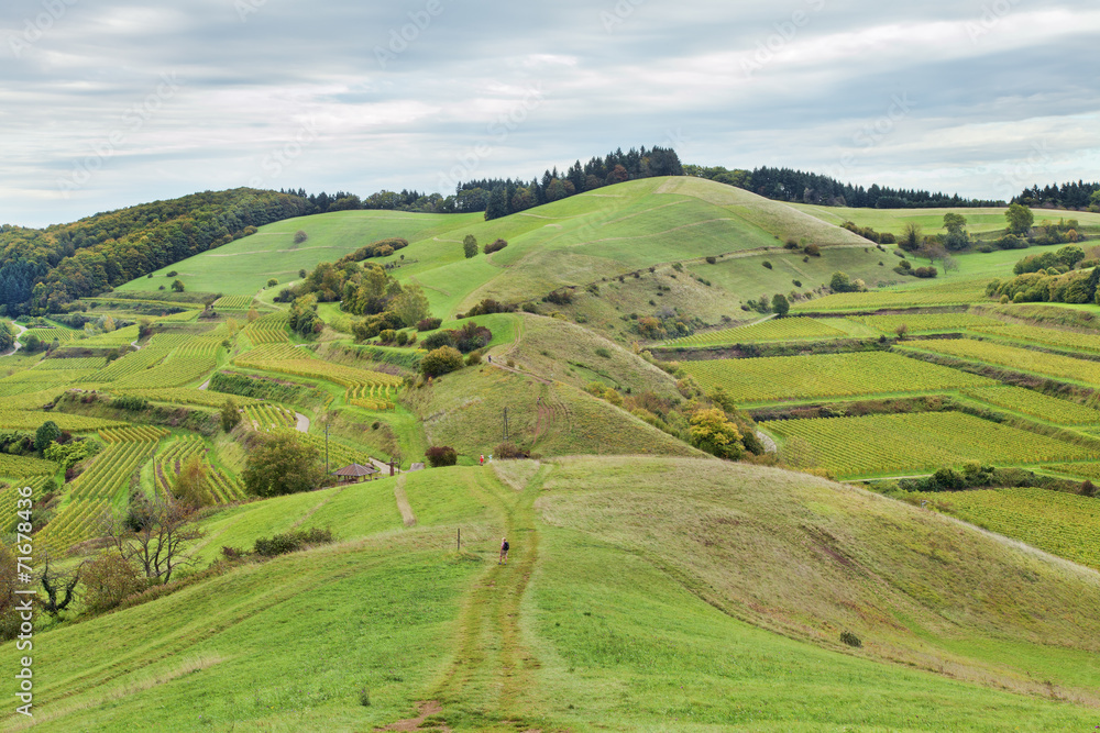 Naklejka premium Badbergkamm, Badberg, Kaiserstuhl, Hebst