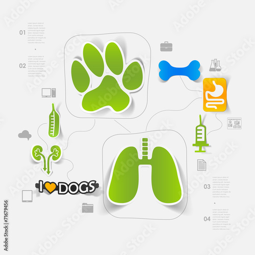 Veterinary sticker infographic