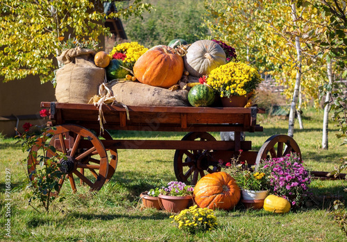 Autumn harvest festival photo