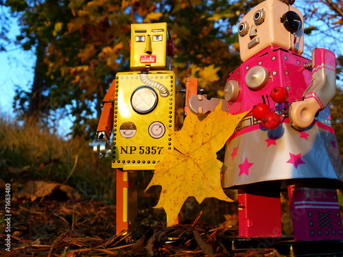 Robot couple in the autumn forest