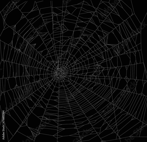 white square spider web