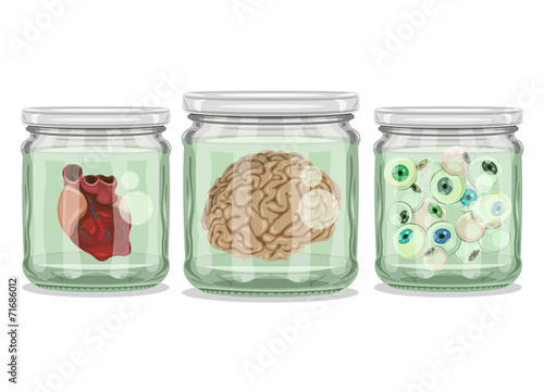 Organs in Jars - Brain, Heart and Eyeballs
