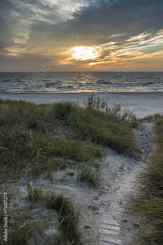 Evening dunes