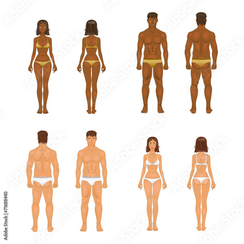 vector young woman and guy in underwear. Body templates